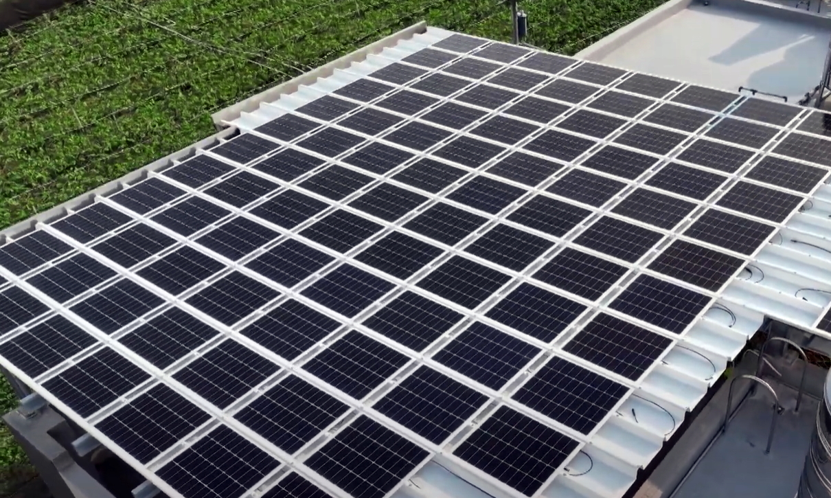 йSunSteel˰˫ṹеǿȼͺȣɹ㷺ڶԪ