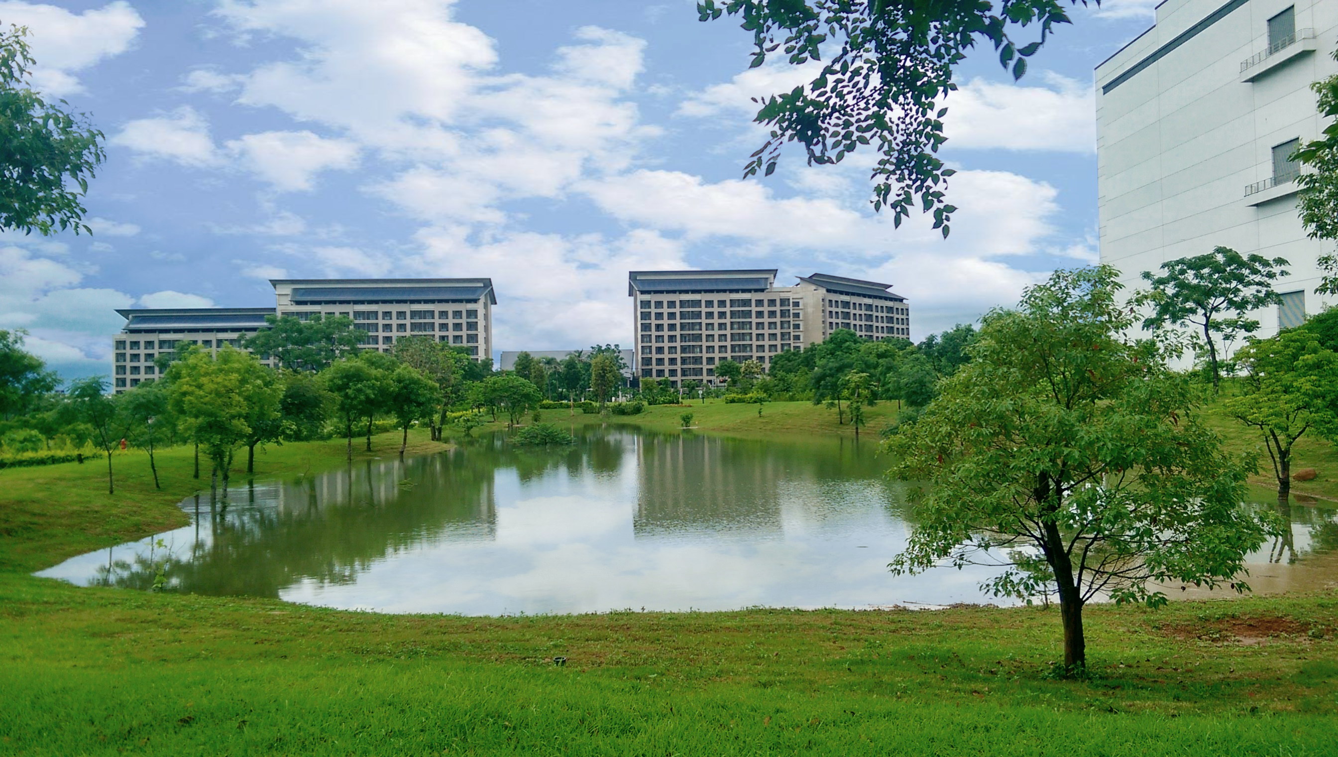 йӦʳƣ״TNFDȻز¶飬뢻չй֮Ȼг