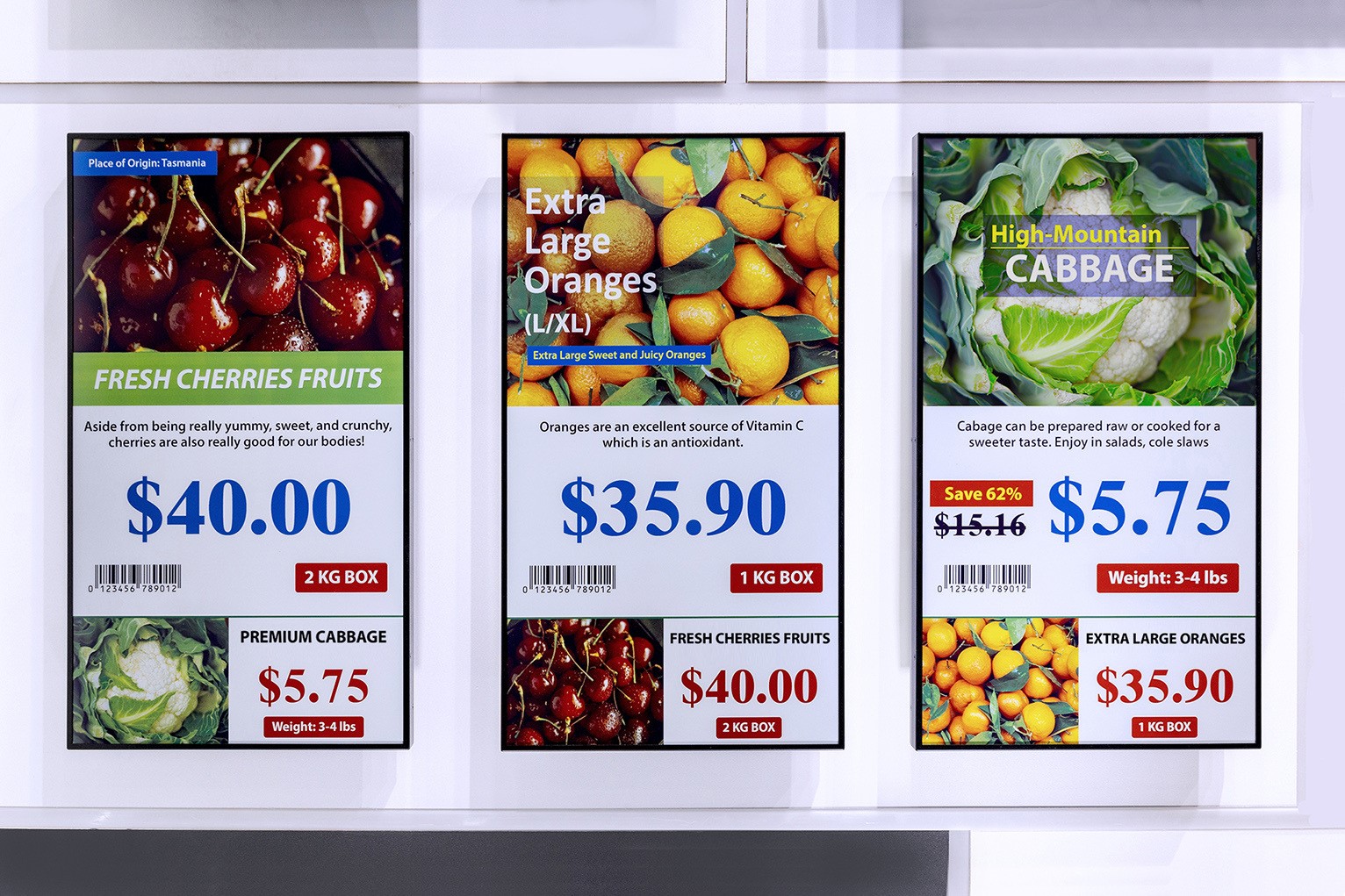 Ԫ̫⽨ʹ˾͵ֽģMߣչ̼תʾӦ̻